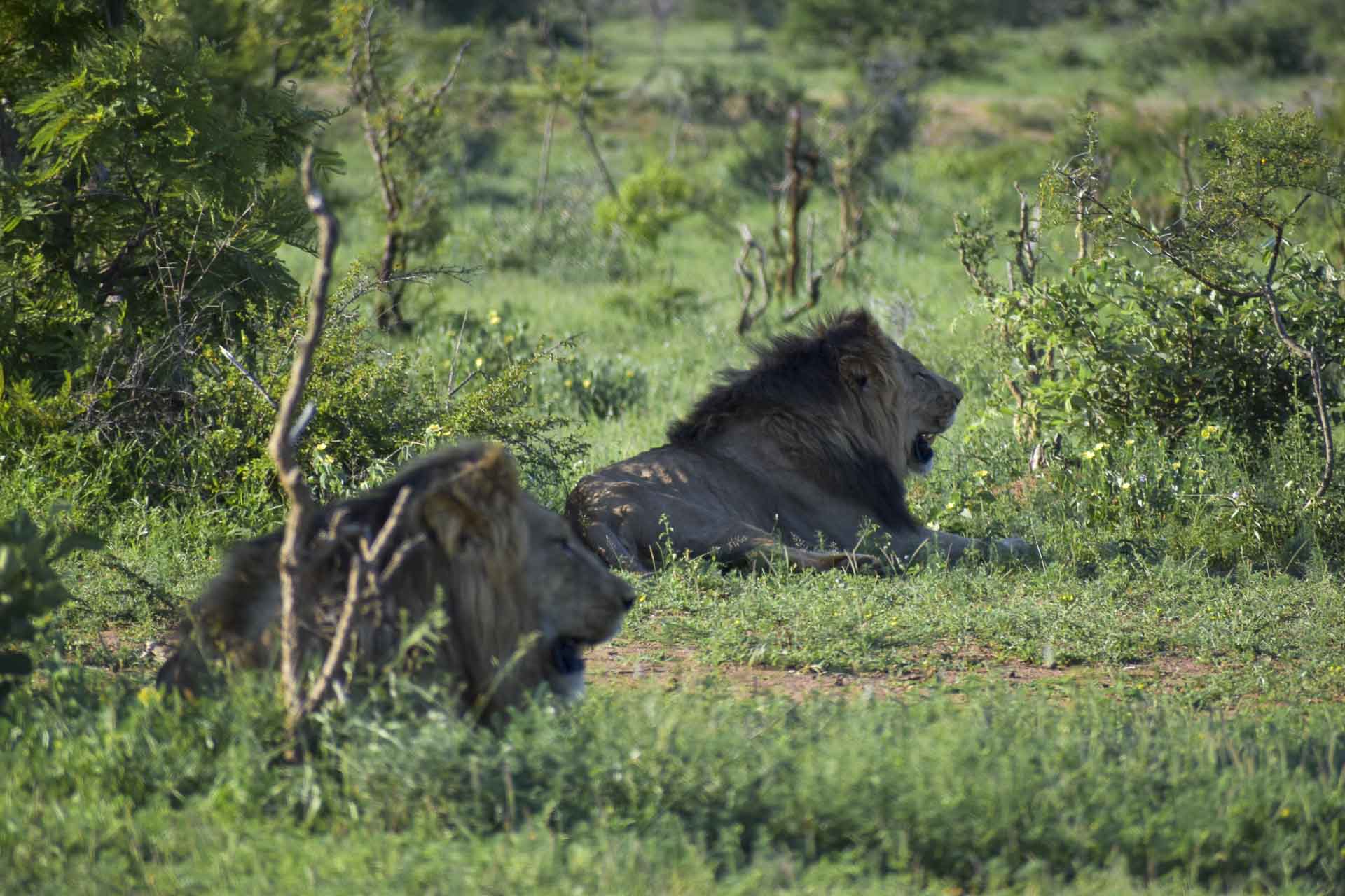 Tzamenkomst River Lodge- 21 - Day 14